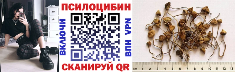 Галлюциногенные грибы Magic Shrooms  купить   Берёзовка 